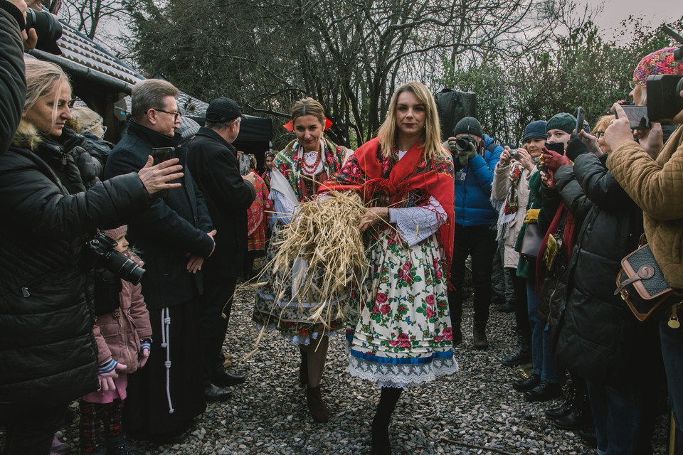 Osadzanie chochoła