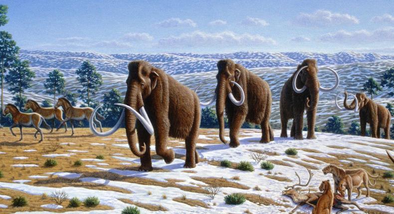 Ice_age_fauna_of_northern_Spain_ _Mauricio_Anton