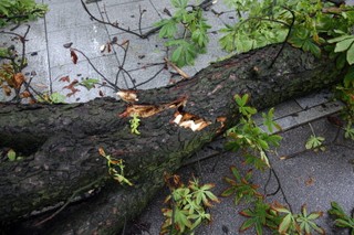 Kujawsko-pomorskie: Zerwane dachy, przewrócone drzewa i zalane piwnice