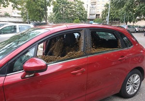 Roj pčela u automobilu - ilustracija a