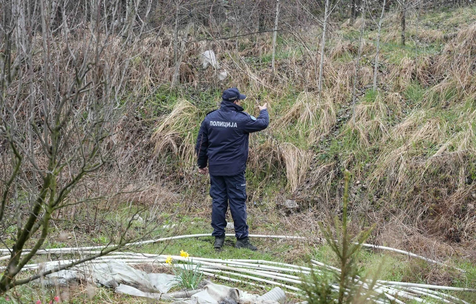 Potraga za nestalom Dankom Ilić
