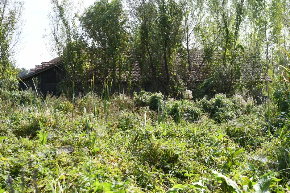 Prostor na kojem je pronađeno Lukino telo 