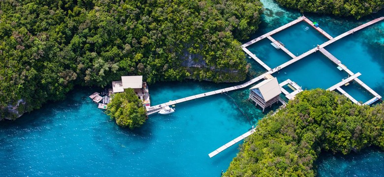 Szczęściarz z Australii wygrał na loterii hotel w Mikronezji. Zapłacił... 49 dolarów