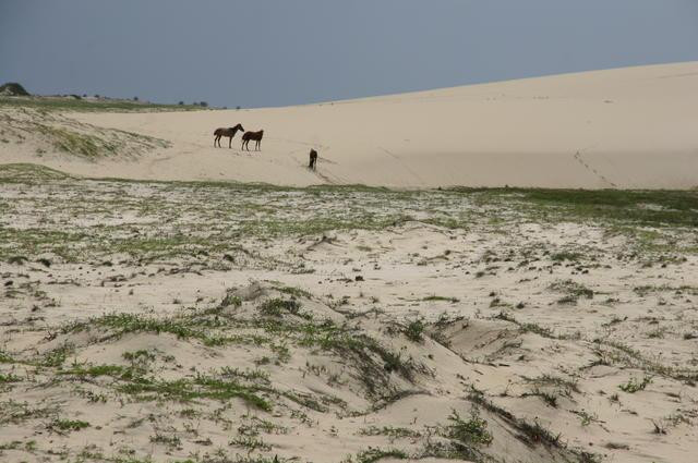 Galeria Brazylia - Jericoacoara - rajska plaża, obrazek 44