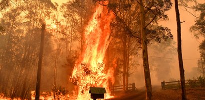 To już armagedon! Bezradni strażacy: Nie damy rady, uciekajcie!