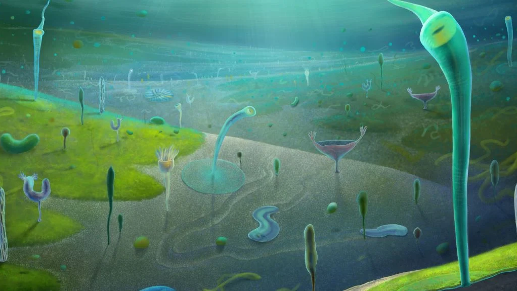 Našli nové fosílie. Môžu úplne zmeniť pohľad na našu evolúciu