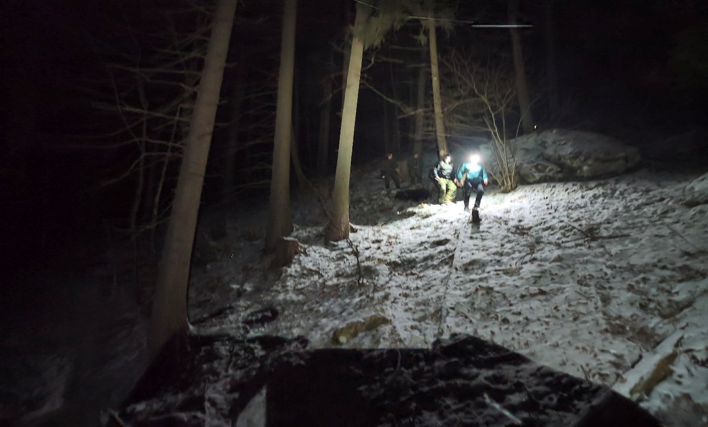 Aktivisti pripomenuli, že ochrana mláďat patrí medzi najsilnejšie inštinkty u medveďa. 