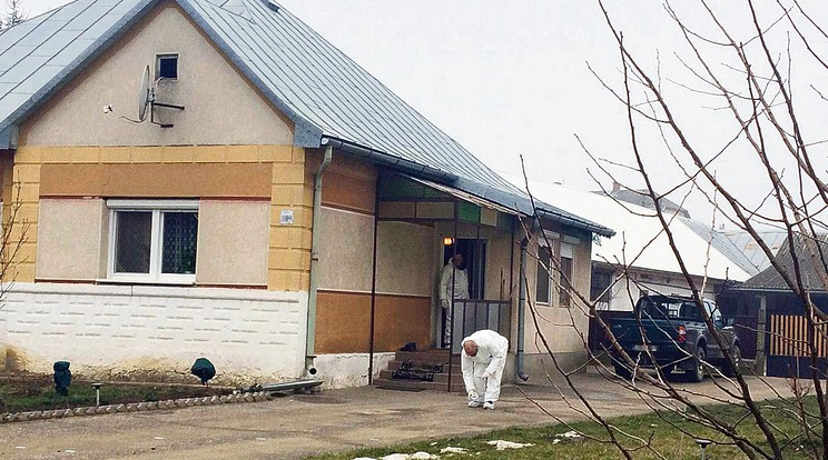 Apjára januárban a szülői házban rontott rá a gyanúsított