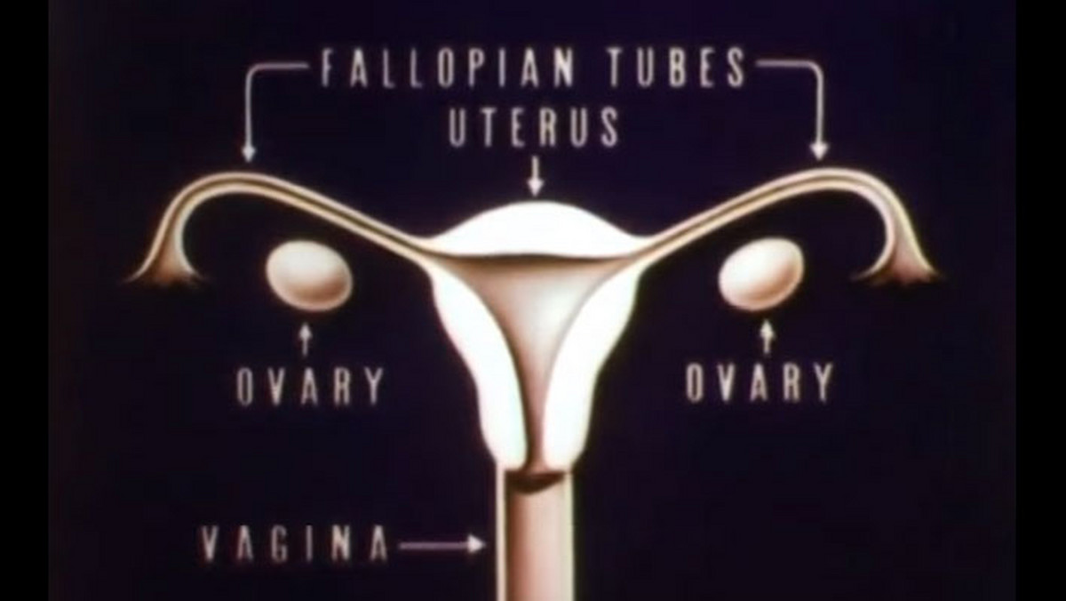 Kontrowersyjna jak na ówczesne czasy kreskówka opowiadająca o menstruacji na nowo pojawiła się w sieci. I jest zaskakująco aktualna.