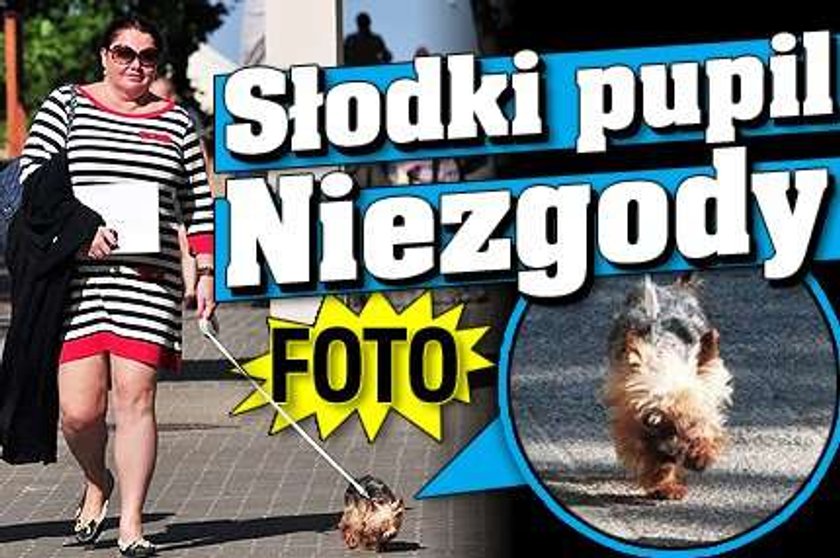 Słodki pupilek Kasi Niezgody