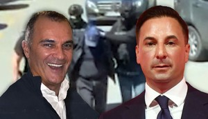 Aleksandar Nesović Veselin Milić i hapšenje