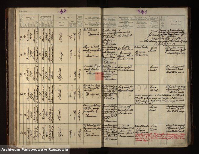 Księga metrykalna z informacją o urodzeniu Freda (Alfreda) Zinnemanna. Archiwum Państwowe w Rzeszowie, Zespół: Urząd Metrykalny Izraelicki w Rzeszowie, Księga urodzeń 1906-1909, karty 48-49, poz. 102 