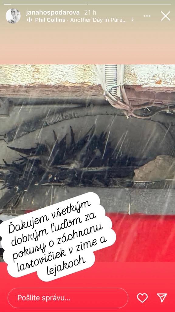 Hospodárová ďakovala všetkým, ktorí pomáhali.