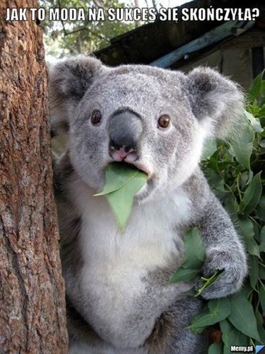 mem o 'Modzie na sukces' / memy.pl