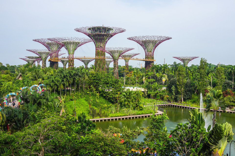 Singapur