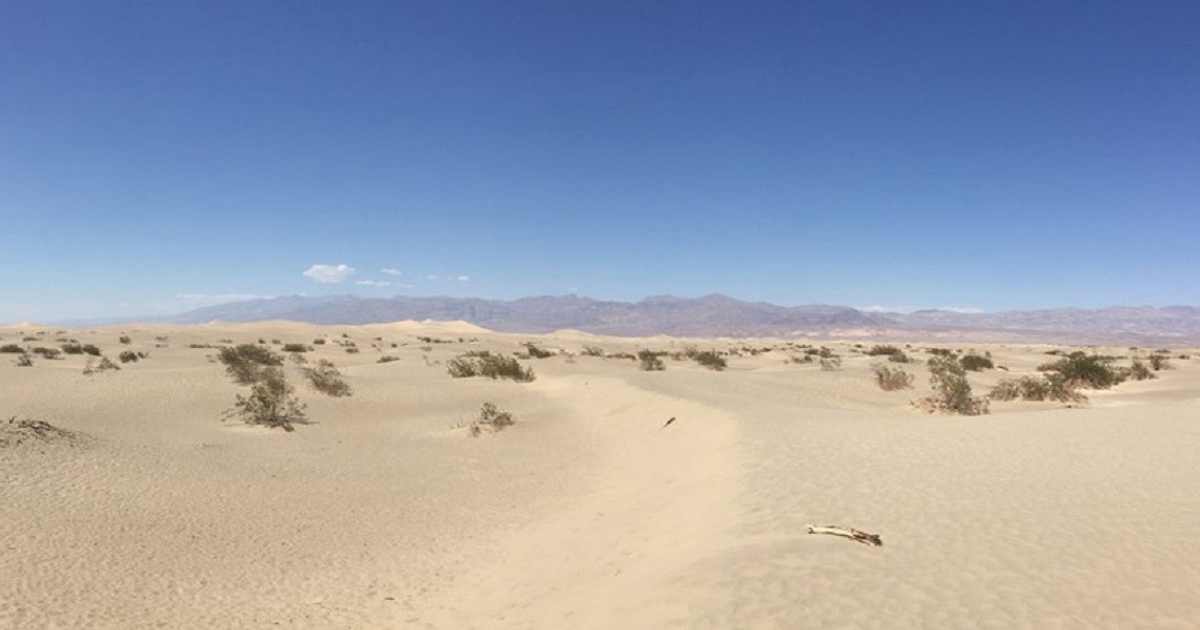 CSIC revela: 20% de España sufre desertificación en nuevo estudio