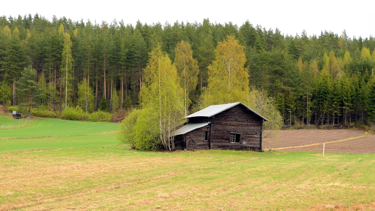 An abandoned farmhouse on a farm in Finland