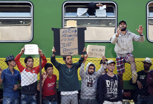 Imigranci nie chcą zostać na Węgrzech. Demonstracje i głodówki