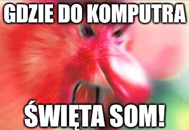 Memy o świętach wielkanocnych