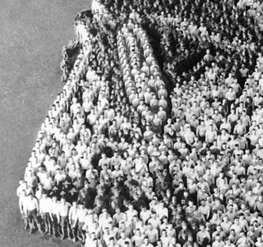 Detalj sa portreta Vudroa Vilsona