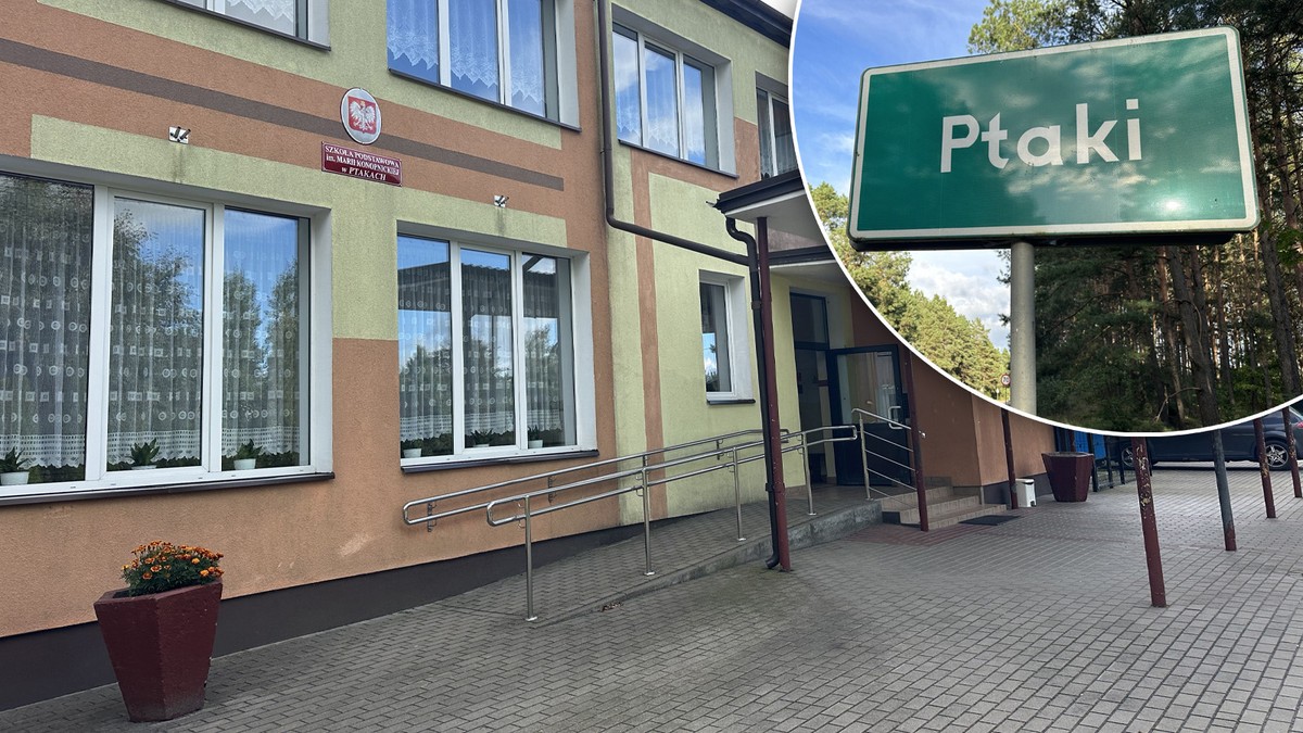 11-latek zaatakował toporkiem 10-latkę w szkole w Ptakach: dziewczynka wychodzi ze szpitala