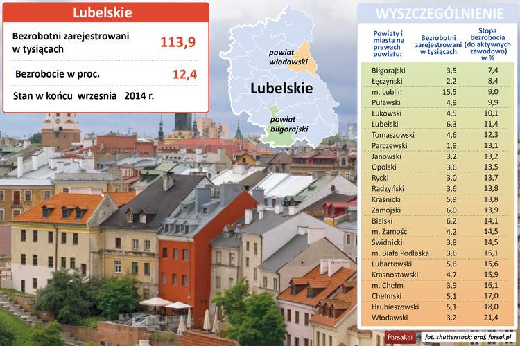 Zlokalizowany w południowej części województwa lubelskiego powiat biłgorajski może poszczycić się najniższą stopą bezrobocia w regionie – 7,4 proc. Powiat ma charakter rolniczy (43 proc. powierzchni zajmują grunty rolne) i specjalizuje się w produkcji ekologicznej żywności. Swoje siedziby mają tu m.in. Black Red White – funkcjonuje tu jedna z największych w Europie fabryk mebli, Ambra (największy producent win w Europie Środkowej) i Pol-Skone (producent okien i drzwi). <br>Drugie miejsce w zestawieniu zajmuje powiat łęczyński (8,4 proc.). Na jego terenie znajduje się jedna z największych kopalni węgla kamiennego w Polsce – LW Bogdanka. Notowana na GPW spółka zatrudnia dziś prawie 5 tys. osób. Trzecie miejsce w zestawieniu zajmuje Lublin, w którym stopa bezrobocia wynosi 9 proc. 
<br>Ranking zamyka powiat włodawski. Bezrobocie sięga tu 21,4 proc. Sytuacja w tym regionie nie zmienia się od lat. Powiat włodawski, jako jedyny w Polsce, graniczy z dwoma państwami - Ukrainą oraz Białorusią. Mimo takiego położenia, na terenie powiatu nie ma żadnego przejścia granicznego.