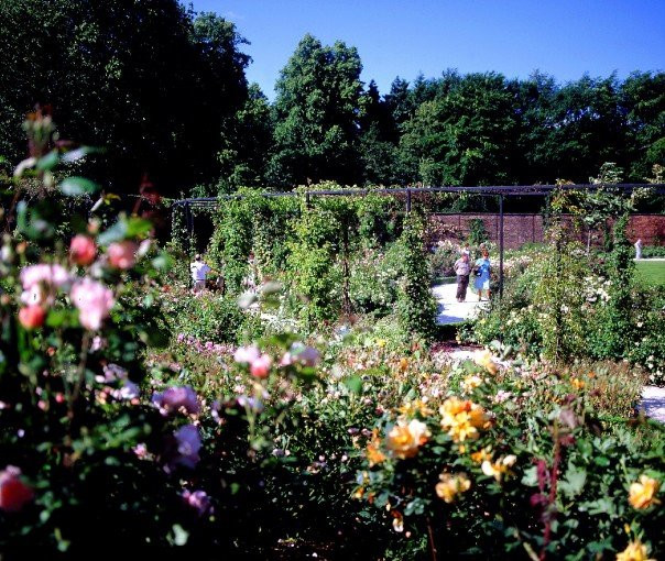 Alnwick Garden