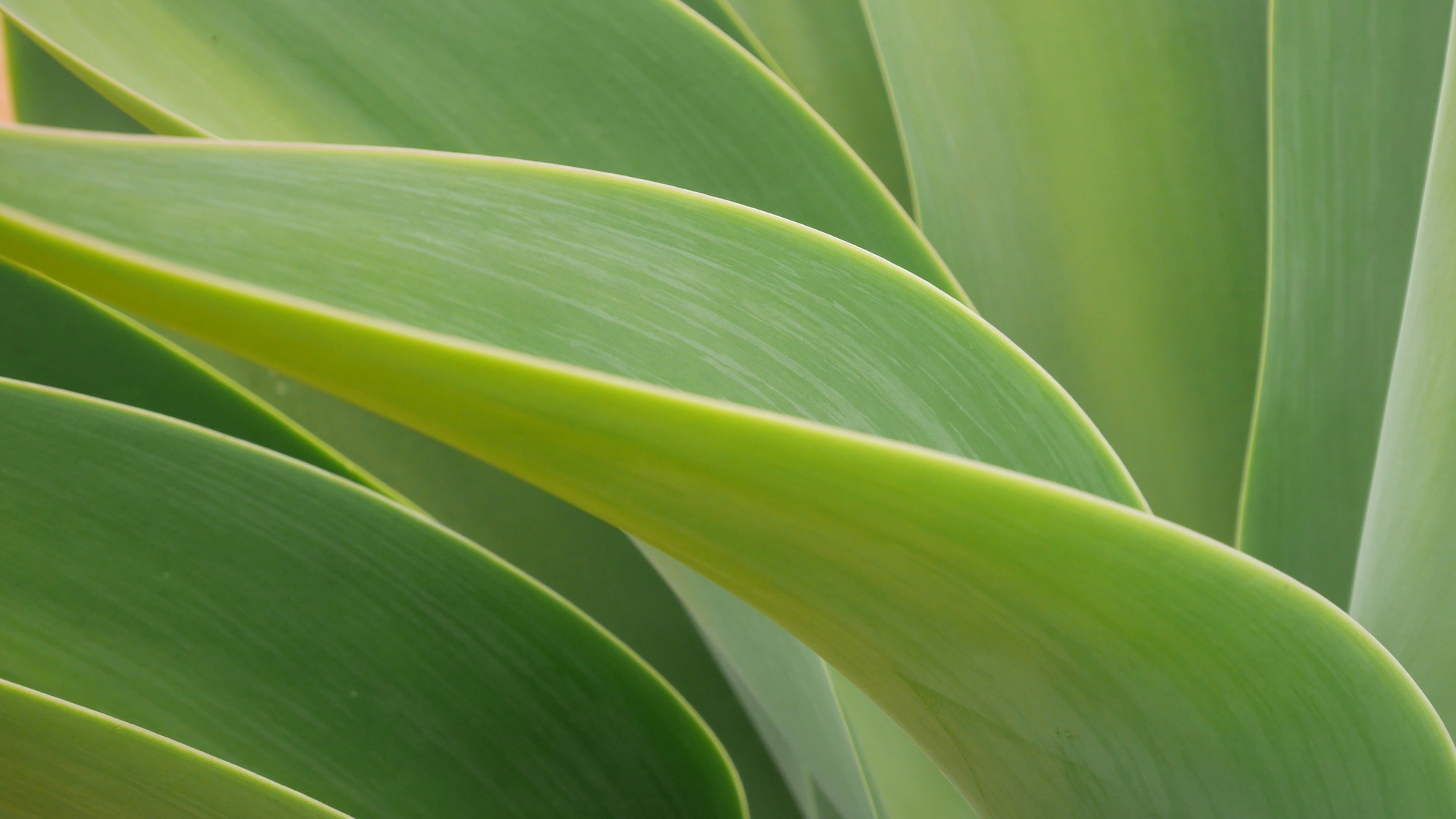 Najzaujímavejšie fakty z prírody.