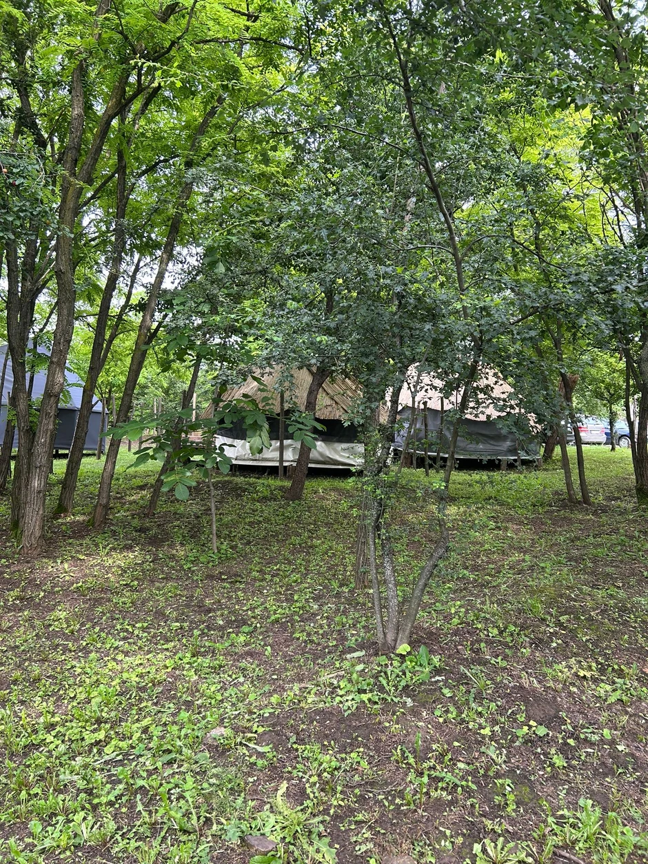 Kolibe na salašu u Krčedinu