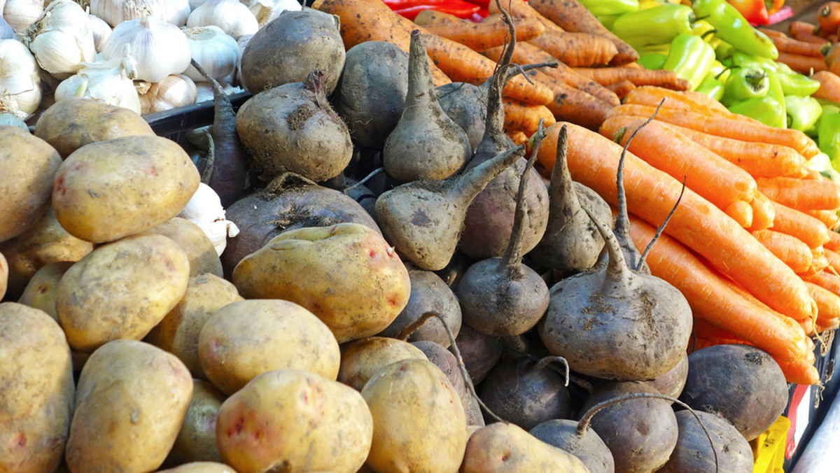 3-kilogramowy burak, 10-kilogramowa kalarepa, 366-kilogramowa dynia – to tylko niektóre osiągnięcia Piotra Holewy – działkowca z Raciborza (Śląskie), którego pasją jest uprawa gigantycznych warzyw.