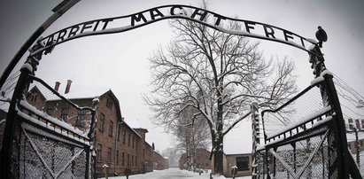 Auschwitz. Wina Niemców