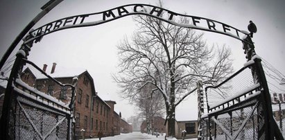 Auschwitz. Wina Niemców