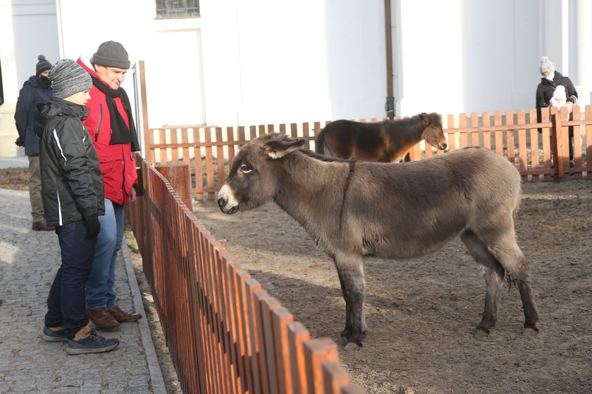 Zwierzaki na Bielanach