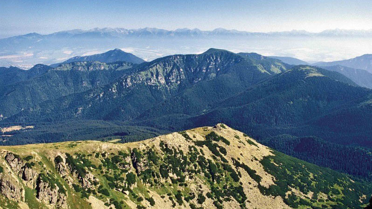 Niskie Tatry, Niskie Tatry? Człowiek drapie się w głowę próbując rozruszać zastałe szare komórki w poszukiwaniu tych Niskich Tatr. Myśl mimowolnie błądzi wokół Tatr Zachodnich. Błyszcz, Wołowiec? Nic bardziej mylnego. Niskie Tatry nie są częścią łańcucha Tatr. Ale intuicja nie jest odległa.