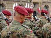 Wdrażanie zadań NSIP przeprowadza się w ramach następujących pakietów CP:<BR>

1. Infrastruktura dla Sił Wzmocnienia NATO w nowoprzyjętych państwach – w pakiecie realizowane są inwestycje dotyczące modernizacji 7 lotnisk a także rozbudowa 5 baz paliwowych oraz 2 baz morskich;<BR>

2. Integracja systemu dowodzenia obrony powietrznej Polski, Czech i Węgier z systemem NATINADS – z wyodrębnieniem części elektronicznej i części budowlanej. W pakiecie ujęto zadania dotyczące modernizacji  3 obiektów stanowisk obrony powietrznej oraz instalacje nadawczo-odbiorcze;<BR>

3. Zapewnienie systemu wstępnej łączności i informacyjnego wsparcia krajów wstępujących – w pakiecie zawarto zadania umożliwiające uzyskanie możliwości prowadzenia łączności i przesyłania danych zgodnie ze standardami Sojuszu krajów nowoprzyjętych do Sojuszu z Dowództwami i agendami NATO;<BR>
<BR>Źródło: MON