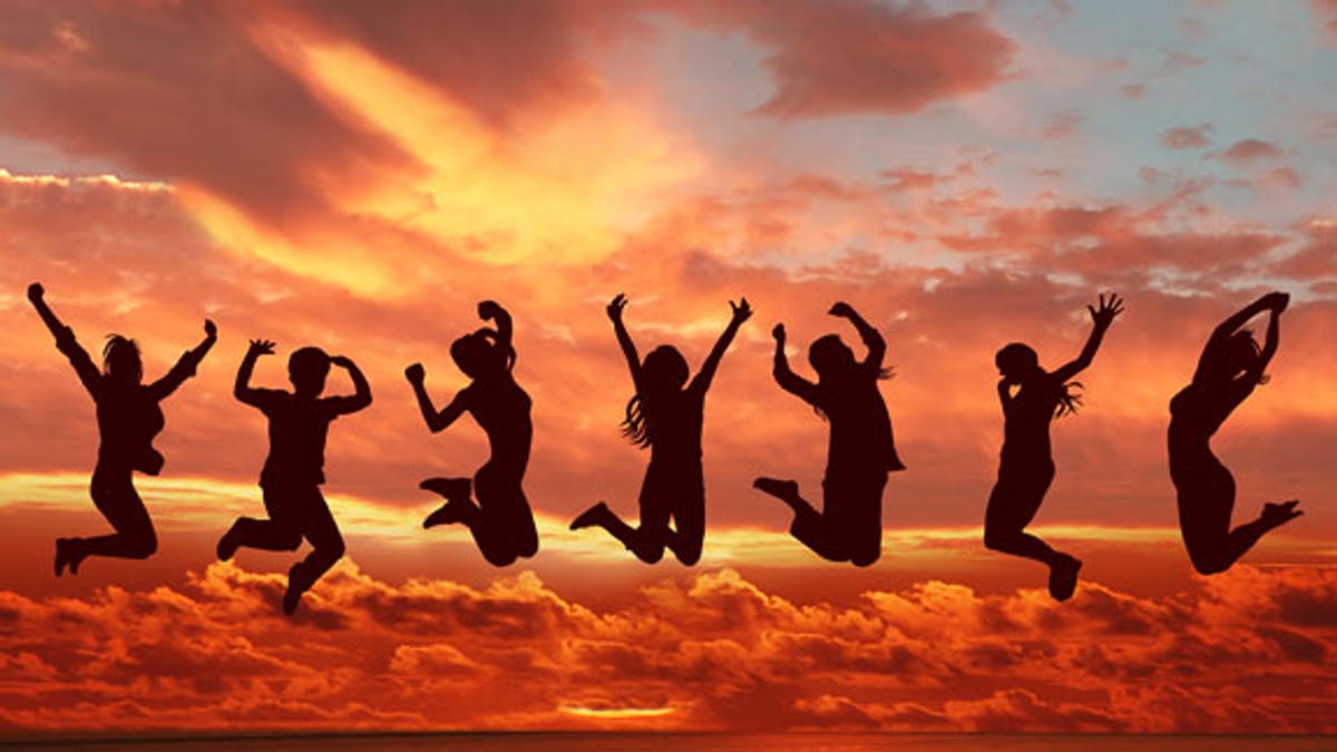 sreca istrazivanje bosanci