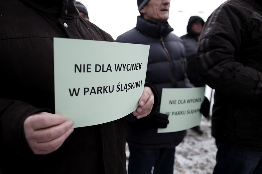 Katowice. Protest mieszkańców Dębu przeciwko wycince drzew