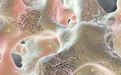 Transgeniczna sałata może chronić astronautów przed osteoporozą