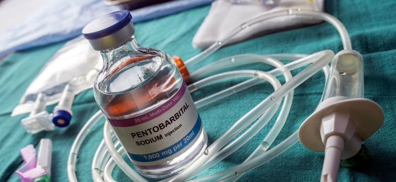 Amerykanie wykonali najmniej egzekucji w ciągu 30 lat. Skazywano głównie upośledzonych