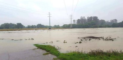 IMGW wydało ostrzeżenie meteorologiczne. Groźna sytuacja w Krakowie