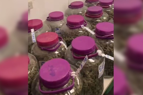 OTIŠAO SA DEVOJKOM NA ODMOR, PA POSETILI PLANTAŽU MARIHUANE Naš reper objavio snimak i šokirao potezom: Tegle pune nedozvoljenih supstanci