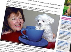 Oto najmniejszy piesek na Ziemi