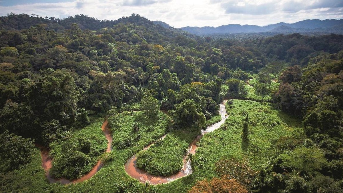 Białe Miasto Honduras