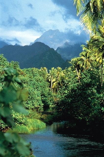 Galeria Polinezja Francuska - Tahiti i inne wyspy, obrazek 3