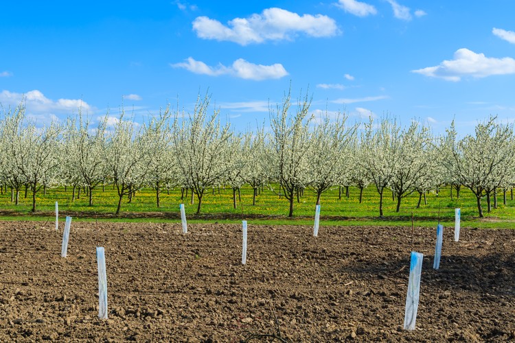 Specjalny fundusz dla rolników