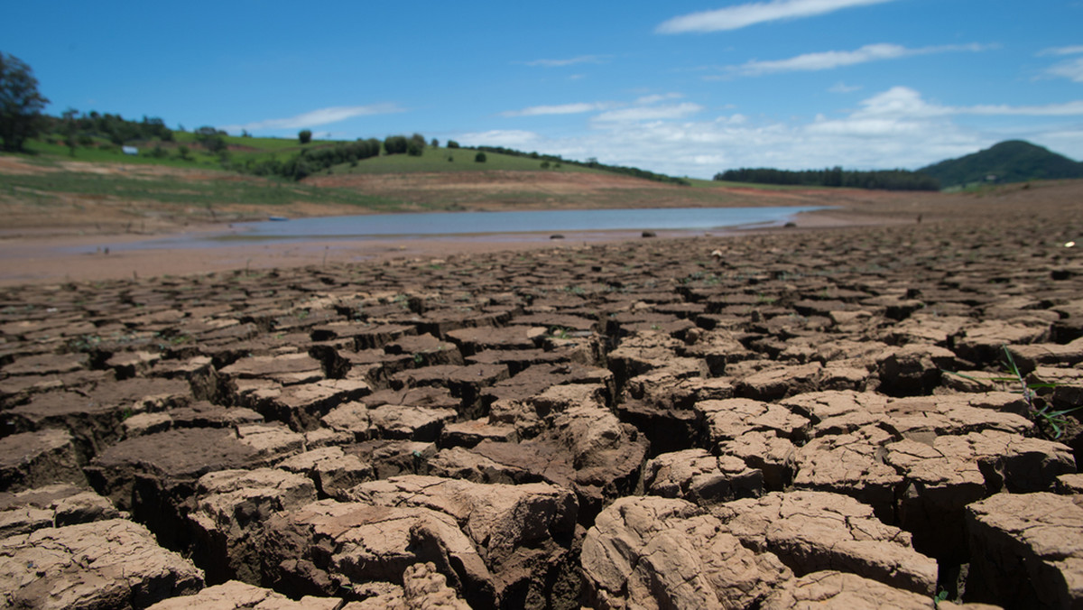 Podlaskie: powstały komisje szacujące straty po suszy
