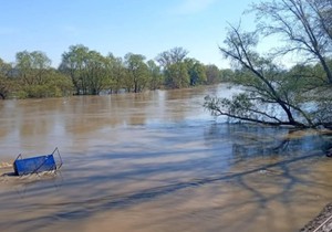 Čovek se umalo udavio na Velikoj Moravi