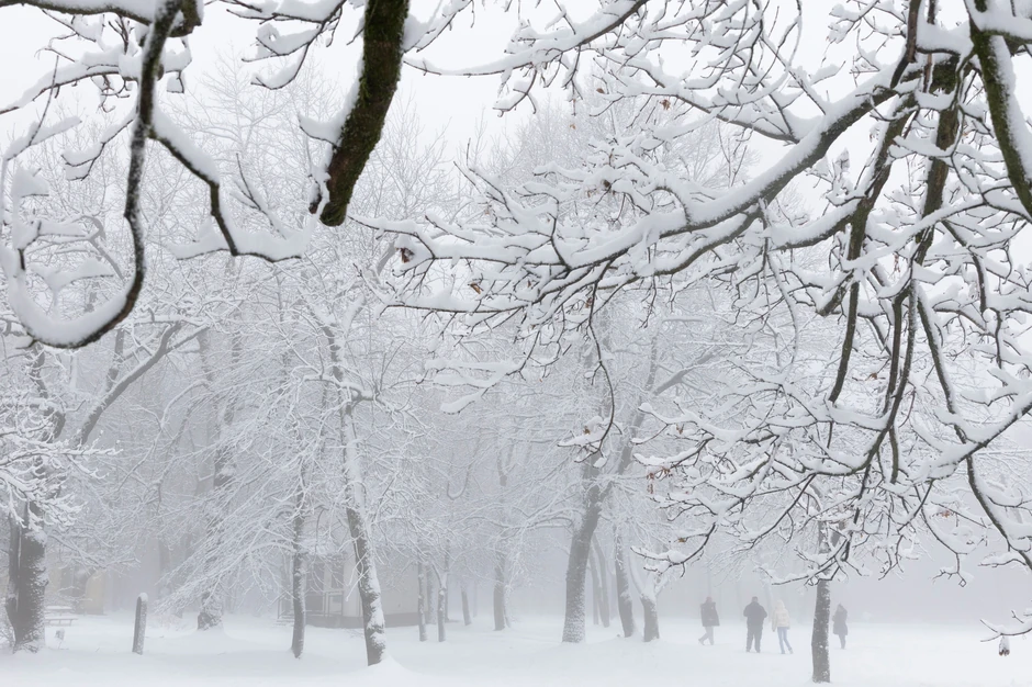 Zimska invazija stiže na Balkan