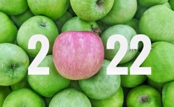 Postanowienia noworoczne: Jak jeść zdrowo? Dietetyk radzi