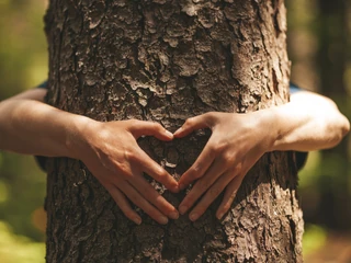 Człowiek ma naturalną potrzebę przebywania wśród zieleni, a życie w mieście wywołuje w nim głęboki głód natury. Istnieją badania pokazujące, że pobyt na łonie natury pomógł duńskim żołnierzom w poradzeniu sobie z zespołem stresu pourazowego